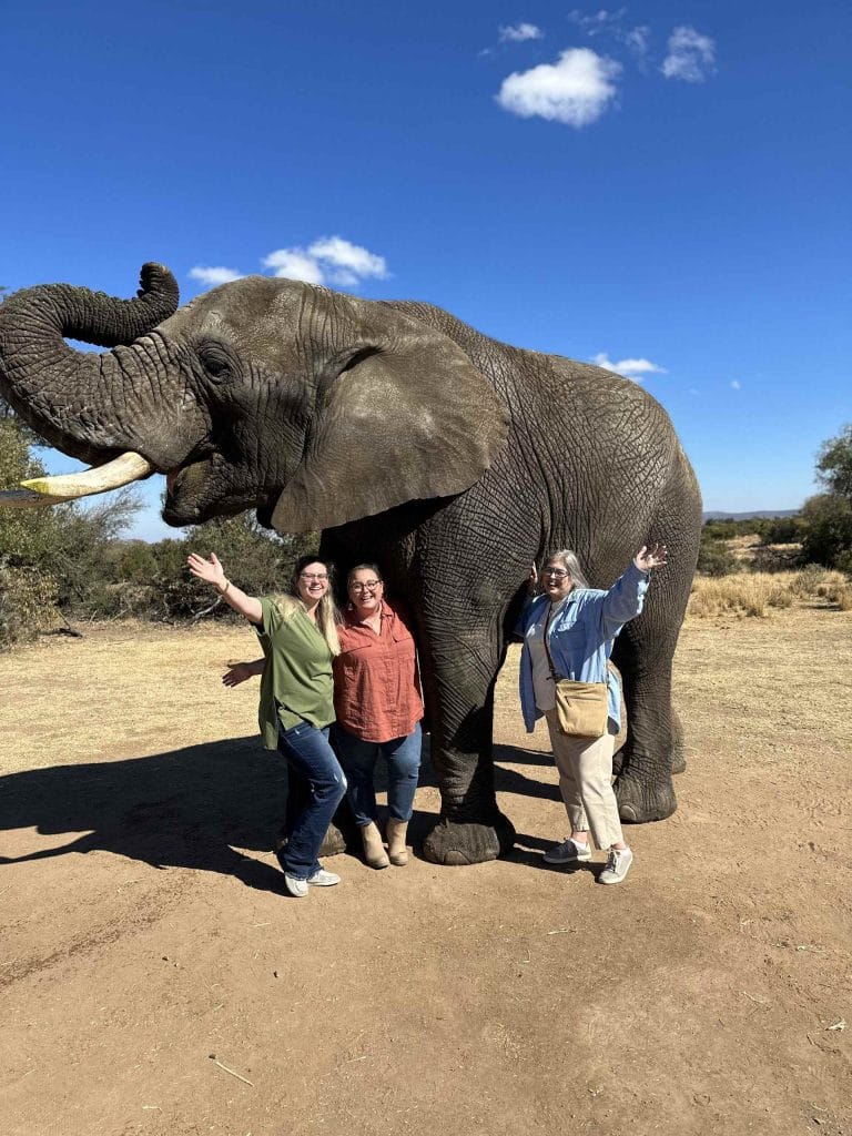 Elephant Interaction | Full Day