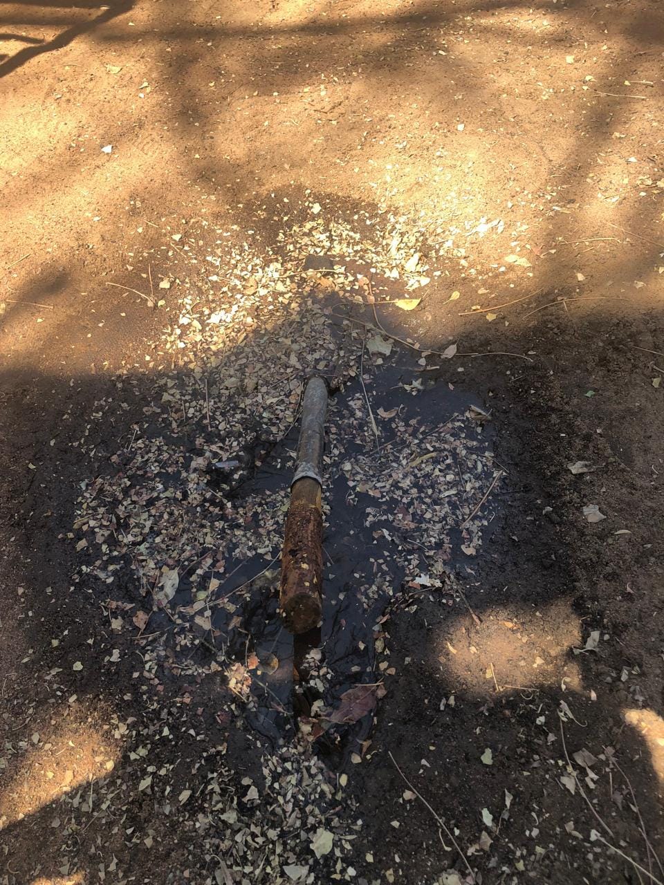 improving living conditions lesedi steenbokpan 10