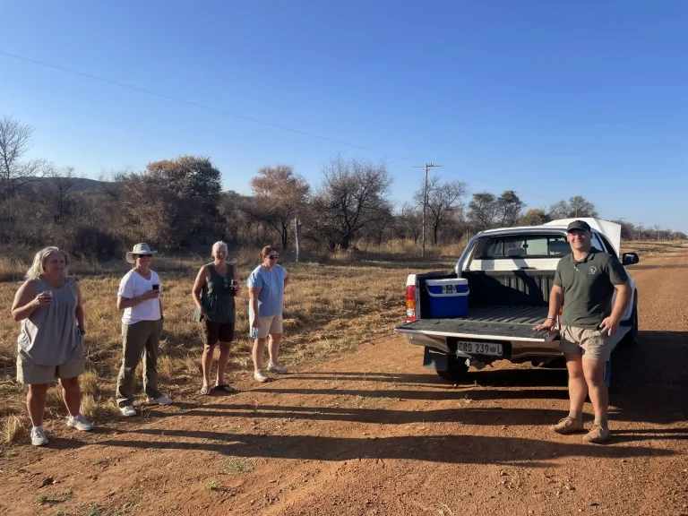 kartula adventures review 11