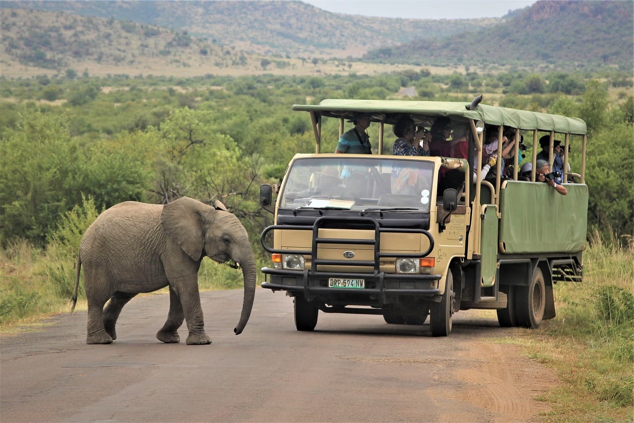 Pilanesberg Big 5 Safari | 2 Nights 3 Days