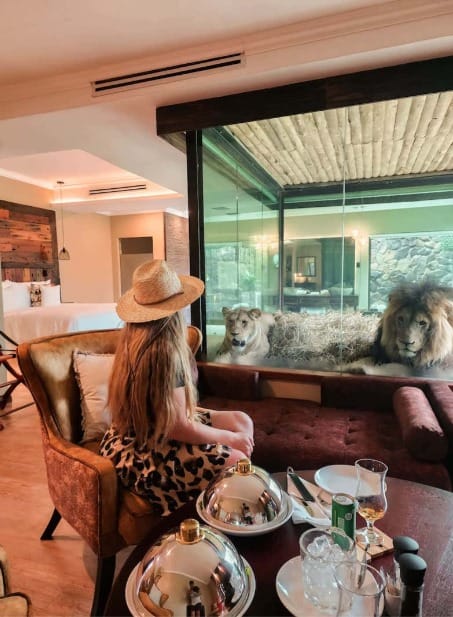 Wild Cat Sanctuary and Spa day | Full Day